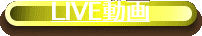 動画"